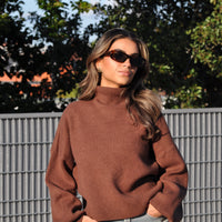 Pulli Bruin