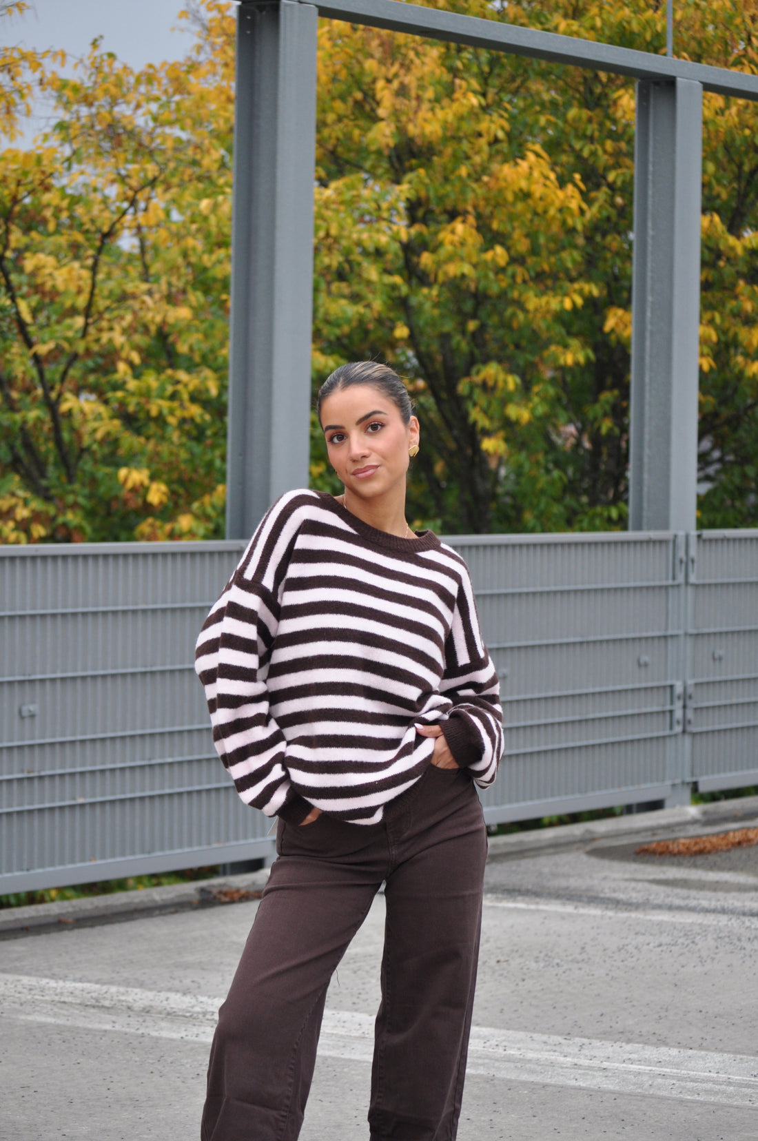 Trui Mila Roze-Bruin