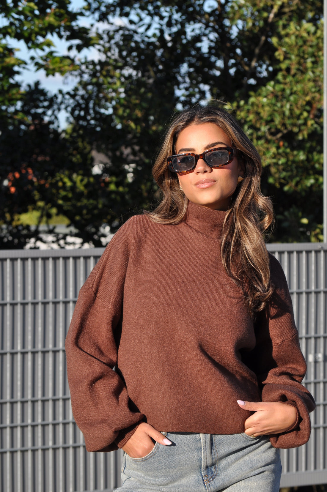 Pulli Bruin