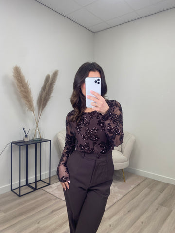Shimmer Mesh Top Bruin