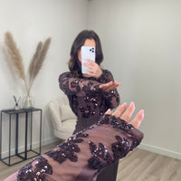 Shimmer Mesh Top Bruin