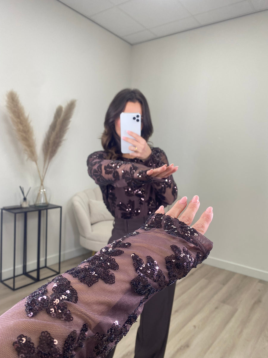 Shimmer Mesh Top Bruin